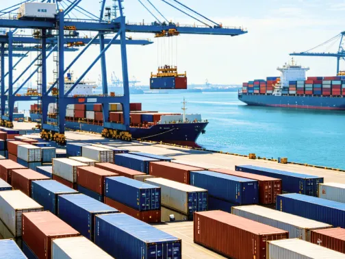 Sourcing & Logistic Services